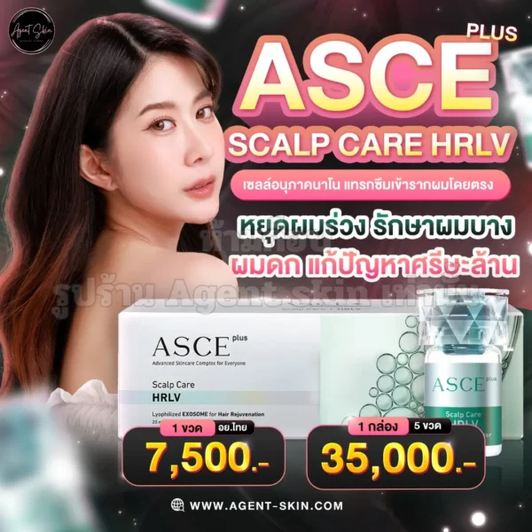 asce plus hrlv