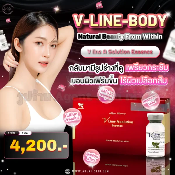 v line body