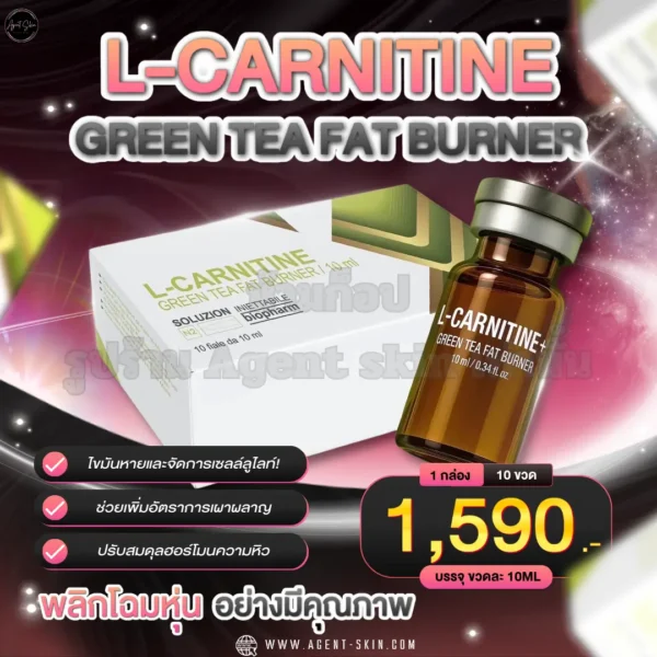 L CARNITINE GREEN TEA FAT BURNER
