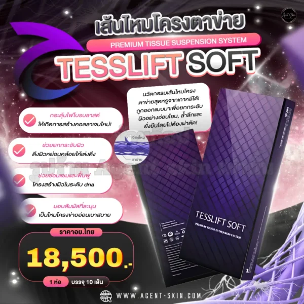 tesslift soft