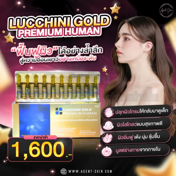 lucchini gold premium human